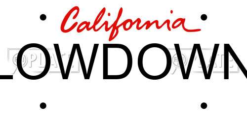 LOWDOWN California License Plate