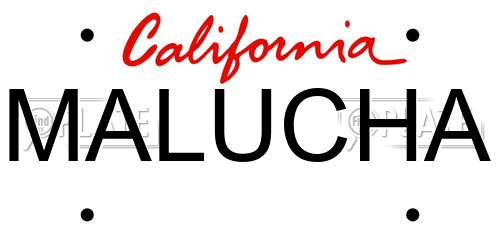 MALUCHA California License Plate