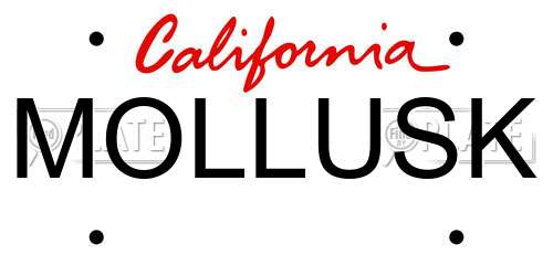 MOLLUSK California License Plate