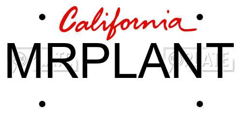 MRPLANT California License Plate