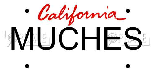 MUCHES California License Plate