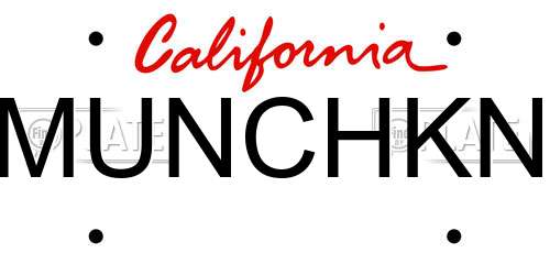 MUNCHKN California License Plate