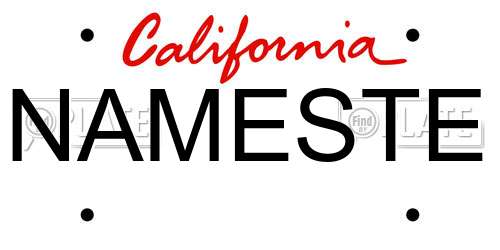NAMESTE California License Plate