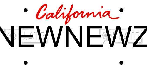 NEWNEWZ California License Plate