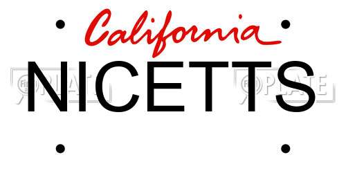 NICETTS California License Plate