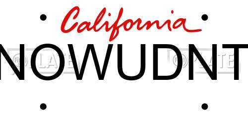 NOWUDNT California License Plate