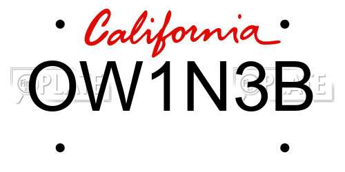 OW1N3B California License Plate