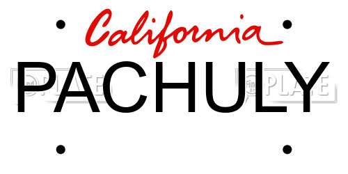 PACHULY California License Plate