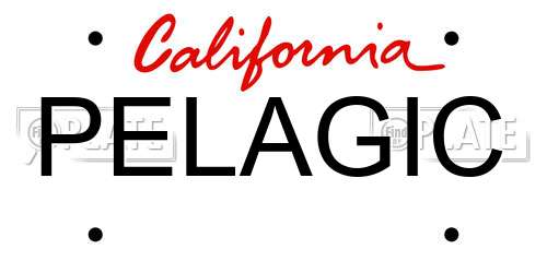 PELAGIC California License Plate