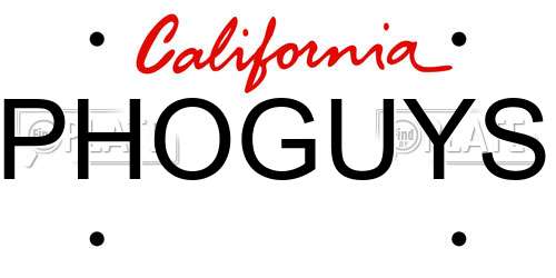 PHOGUYS California License Plate