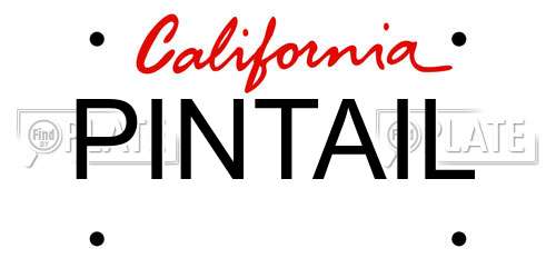 PINTAIL California License Plate