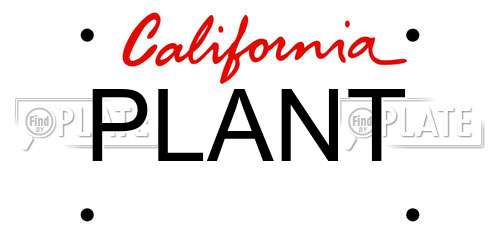 PLANT California License Plate