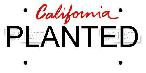 PLANTED California License Plate