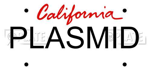 PLASMID California License Plate
