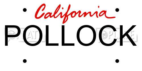 POLLOCK California License Plate