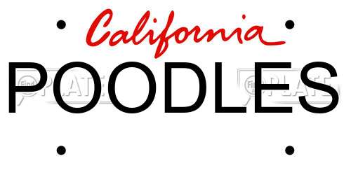 POODLES California License Plate