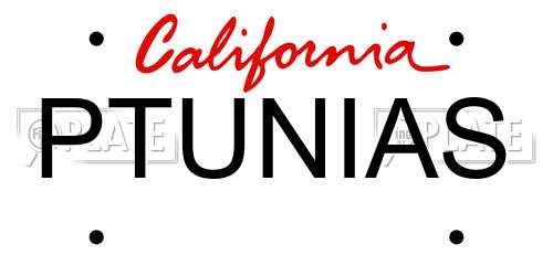 PTUNIAS California License Plate