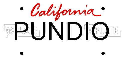 PUNDIO California License Plate