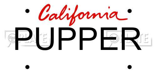 PUPPER California License Plate