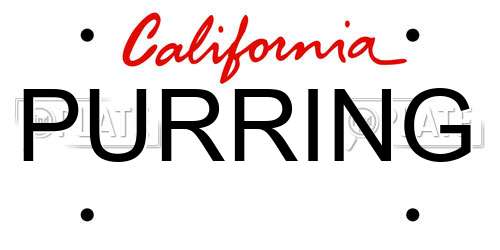 PURRING California License Plate