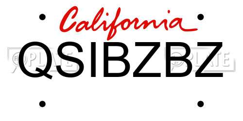 QSIBZBZ California License Plate