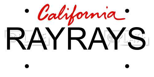 RAYRAYS California License Plate