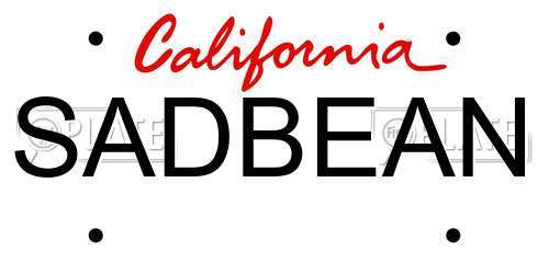 SADBEAN California License Plate