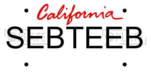 SEBTEEB California License Plate