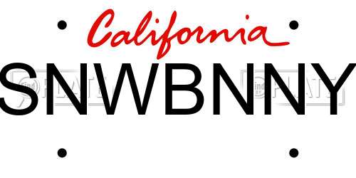 SNWBNNY California License Plate