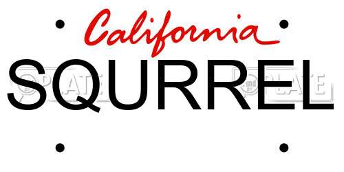 SQURREL California License Plate