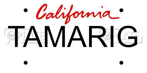 TAMARIG California License Plate