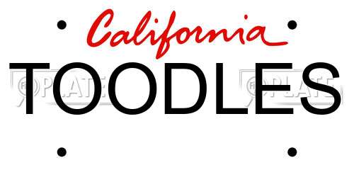 TOODLES California License Plate