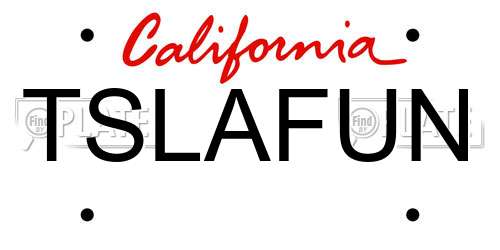 TSLAFUN California License Plate
