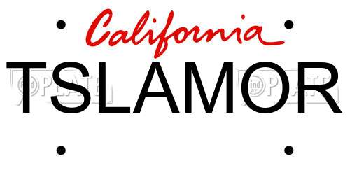 TSLAMOR California License Plate