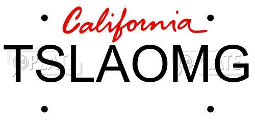 TSLAOMG California License Plate