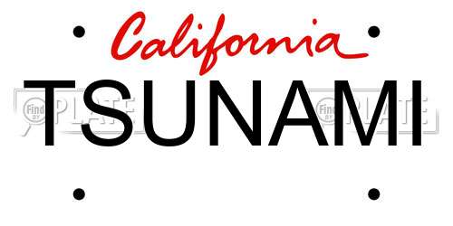 TSUNAMI California License Plate