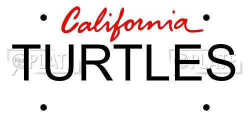 TURTLES California License Plate