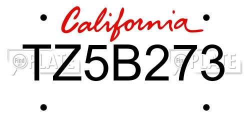 TZ5B273 California License Plate