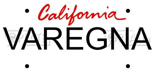 VAREGNA California License Plate