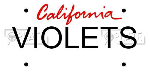 VIOLETS California License Plate