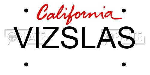 VIZSLAS California License Plate