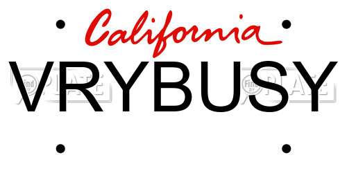 VRYBUSY California License Plate