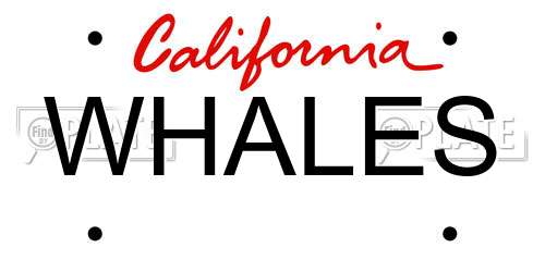 WHALES California License Plate