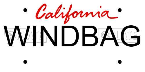 WINDBAG California License Plate