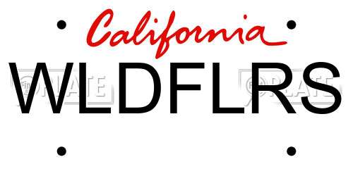 WLDFLRS California License Plate