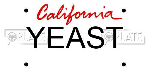 YEAST California License Plate