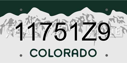 11751Z9 Colorado License Plate