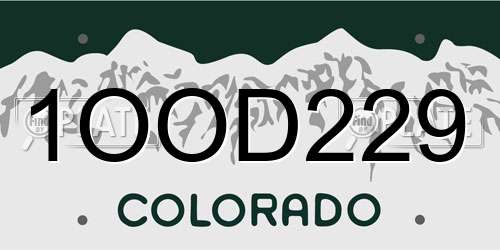 1OOD229 Colorado License Plate