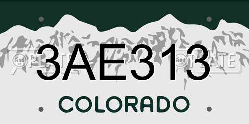 3AE313 Colorado License Plate