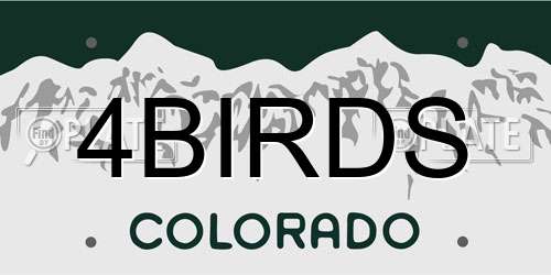 4BIRDS Colorado License Plate